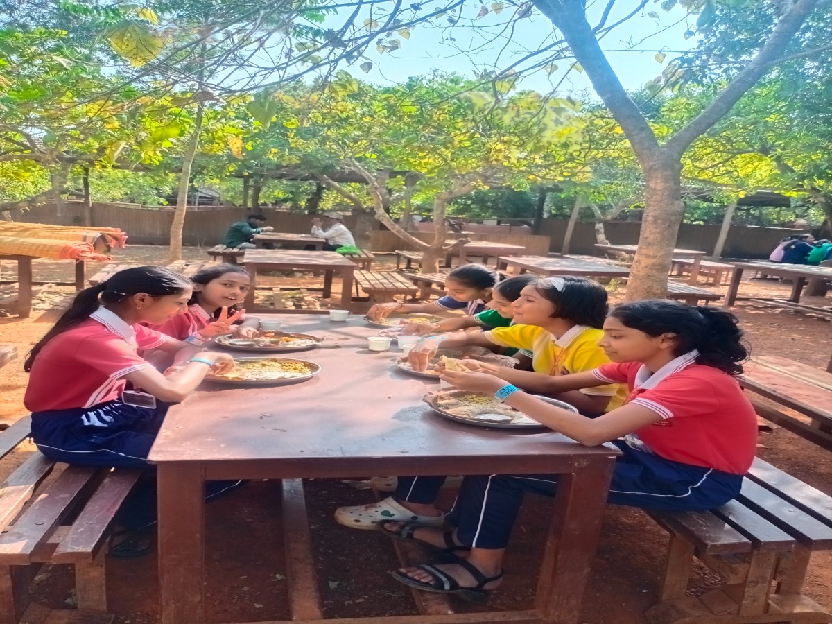 Picnic Grade 7 & 814